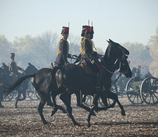 Warrior, el caballo condecorado de la Primera Guerra Mundial Warrior, el caballo condecorado de la Primera Guerra Mundial
