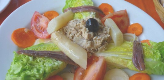 Odile Fernández, Cáncer, alimentación