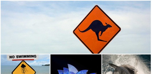 ¡Descubre lo MÁS curioso de Australia!