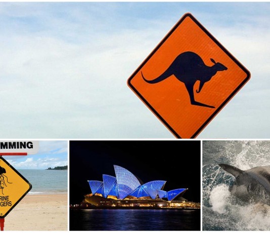 ¡Descubre lo MÁS curioso de Australia!