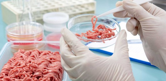 Carne cultivada en laboratorio  ¿Te la comerías