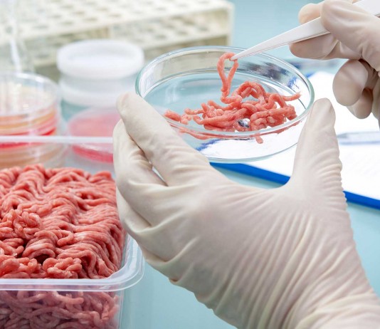 Carne cultivada en laboratorio: ¿Te la comerías? Carne cultivada en laboratorio ¿Te la comerías