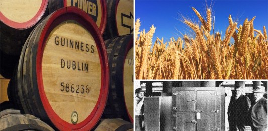 5 avances significativos de la humanidad y ¿cerveza? 5 avances significativos de la humanidad y ¿cerveza?