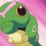curiosidades sobre las mariposas, caterpie, osmeterium