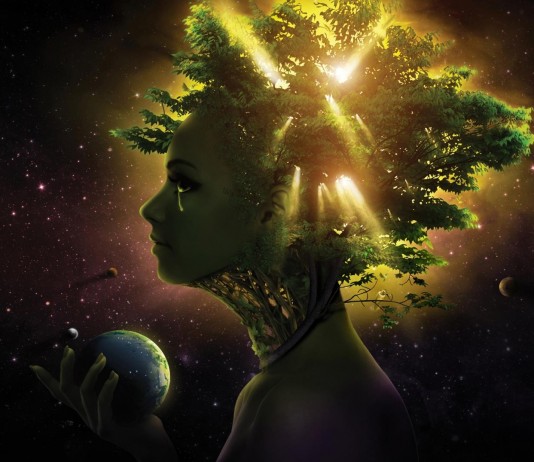 Existe la ley de la atracción