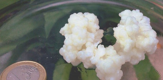 Kéfir, el yogur milagroso del Caúcaso