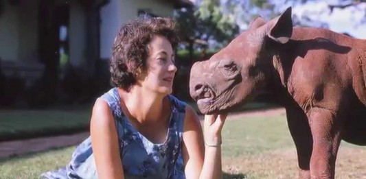 Daphne Sheldrick, el «hada madrina» de los elefantes y rinocerontes huérfanos Daphne Sheldrick, el "hada madrina" de los elefantes y rinocerontes huérfanos