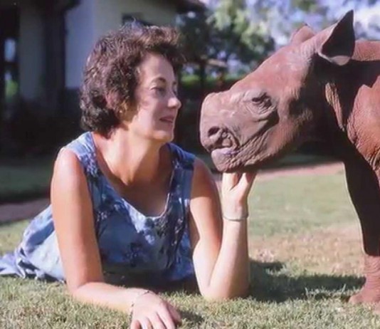 Daphne Sheldrick, el «hada madrina» de los elefantes y rinocerontes huérfanos Daphne Sheldrick, el "hada madrina" de los elefantes y rinocerontes huérfanos