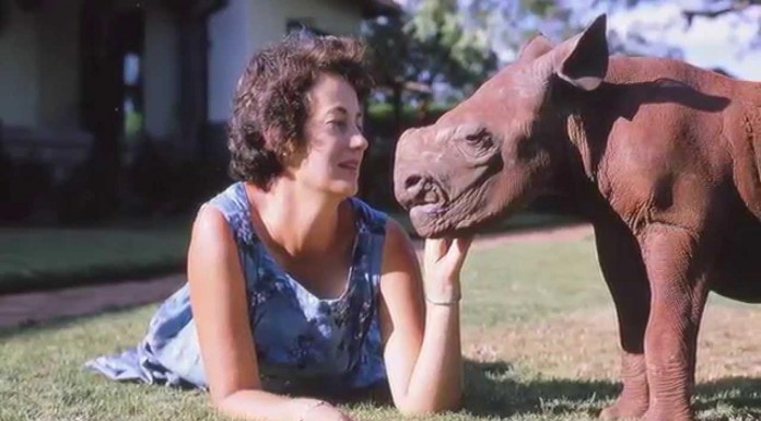Daphne Sheldrick, el "hada madrina" de los elefantes y rinocerontes huérfanos