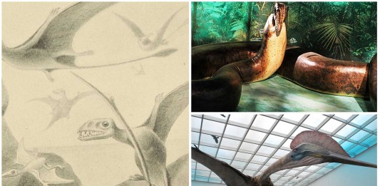 Conoce los animales que dominaron el mundo antes que los dinosaurios