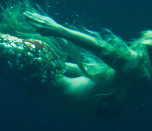 ¿Quieres ser una sirena? ¡Ahora puedes!