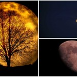 3 cosas que no sabias sobre la Luna