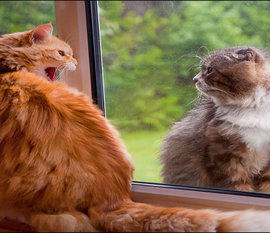 5 razones por las que bloqueamos a nuestras amistades en las redes sociales 5 razones por las que bloqueamos a "nuestras amistades" en las redes sociales