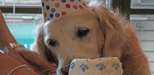 Bretagne, la heroína anónima del 11-S acaba de celebrar su cumpleaños