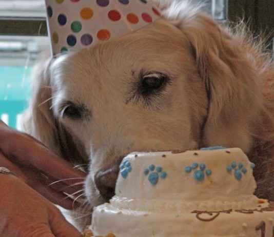 Bretagne, la heroína anónima del 11-S acaba de celebrar su cumpleaños
