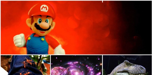 ¡10 nuevos datos ciertos que no podrás creer! ¡10 nuevos datos ciertos que no podrás creer!