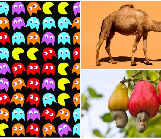 10 datos ciertos que parecen mentira (I)