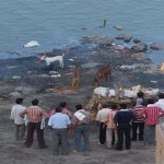 ¿Te atreves a conocer al pez necrófago de la India?