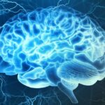 ¿Es verdad que el alcohol mata neuronas?