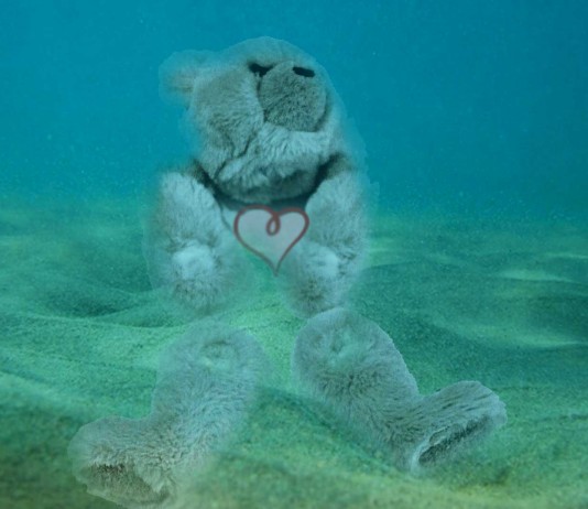 El misterio de los 3000 ositos de peluche Steiff
