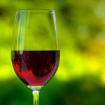 ¿De verdad beber alcohol mata nuestras neuronas?