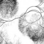 ¿De verdad beber alcohol mata nuestras neuronas?