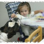 ¡Alimentos tóxicos! ¡Cuidado con lo que le das a tu perro!