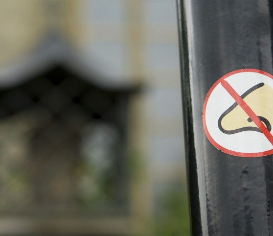 Cuando el mundo no huele a nada: la anosmia