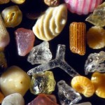 arena microscopio
