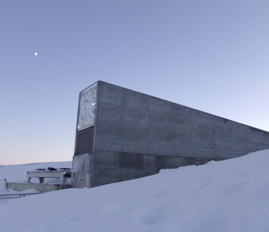 Deciden abrir la bóveda de semillas del "fin del mundo"