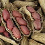 cacahuete legumbre
