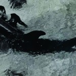 El experimento del delfín que murió por amor a una mujer