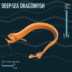 dragonfish