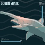 goblinshark