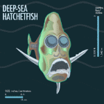 hatchet fish