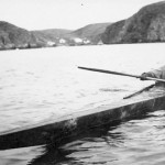 kayak