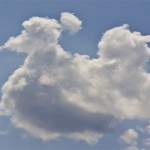 nube