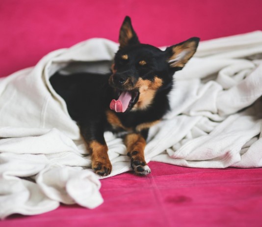 Trabajar o ir a clase antes de las 10 de la mañana no es saludable