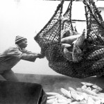 red, pescado