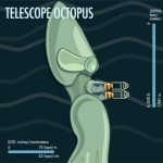 telescope octopus