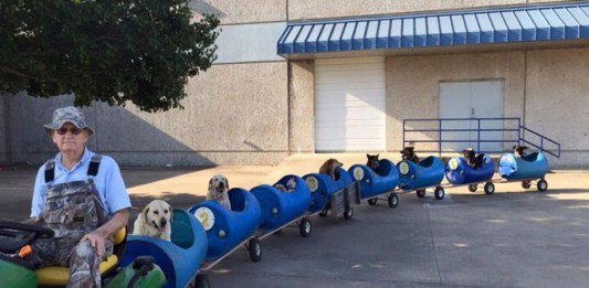 Eugene Bostick, el hombre que ha construido un tren para perros abandonados Eugene Bostick, el hombre que ha construido un tren para perros abandonados