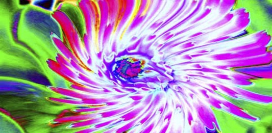 La homeopatía más DELIRANTE conocida La homeopatía más DELIRANTE conocida