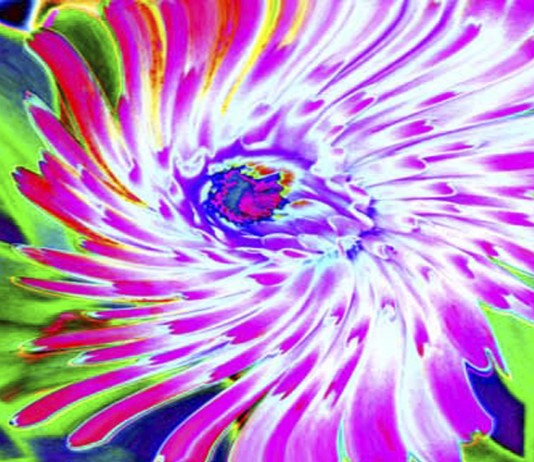 La homeopatía más DELIRANTE conocida
