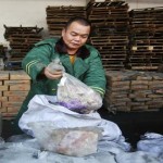El inquietante caso de la «carne zombie» de China