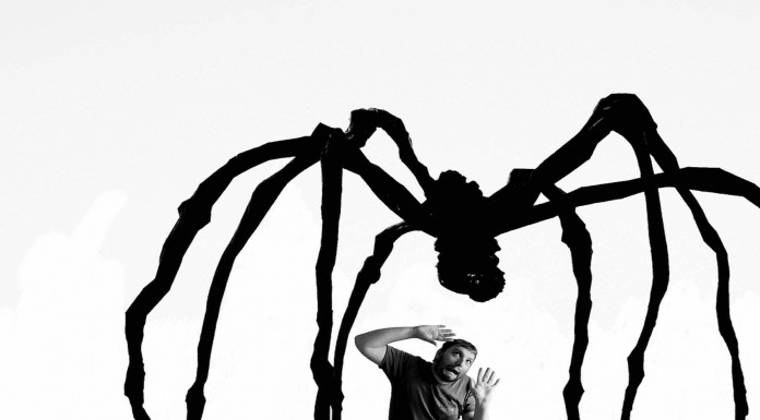 10 cosas sobre las arañas que NO son CIERTAS