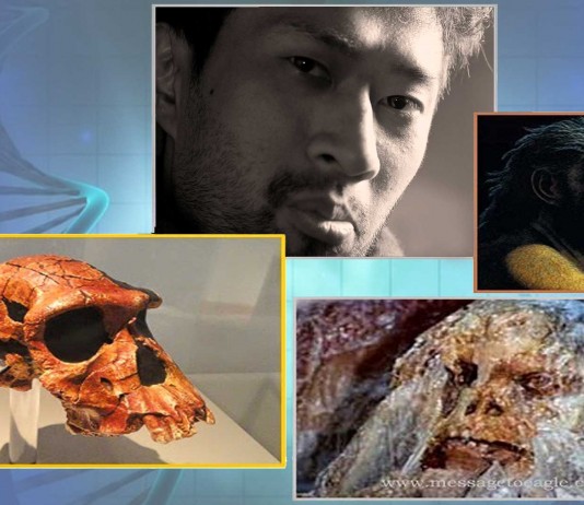 ¡¿Una especie de humano desconocida en China?! ¡¿Una especie de humano desconocida en China?!