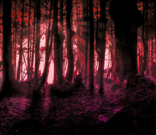 El fantasma del bosque: Barry Prudom