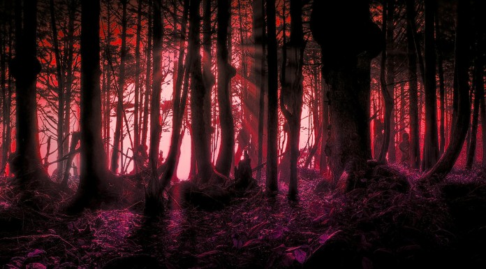 El fantasma del bosque: Barry Prudom