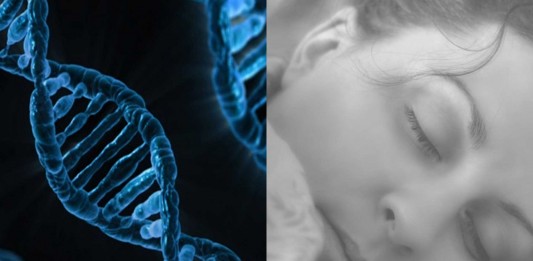 Duermes poco y amaneces perfecto? Quizás tengas el gen DEC2