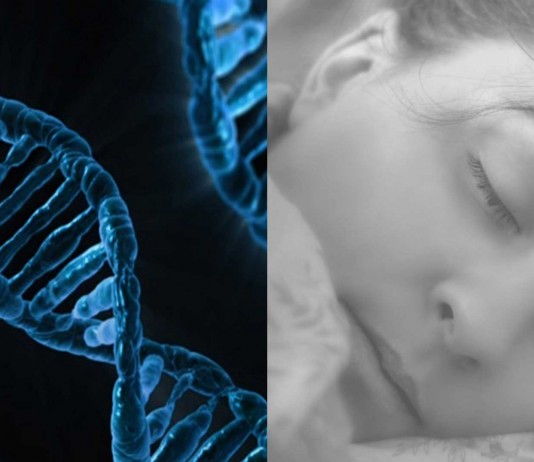 ¿Duermes poco y amaneces perfecto? Quizás tengas el gen DEC2 Duermes poco y amaneces perfecto? Quizás tengas el gen DEC2